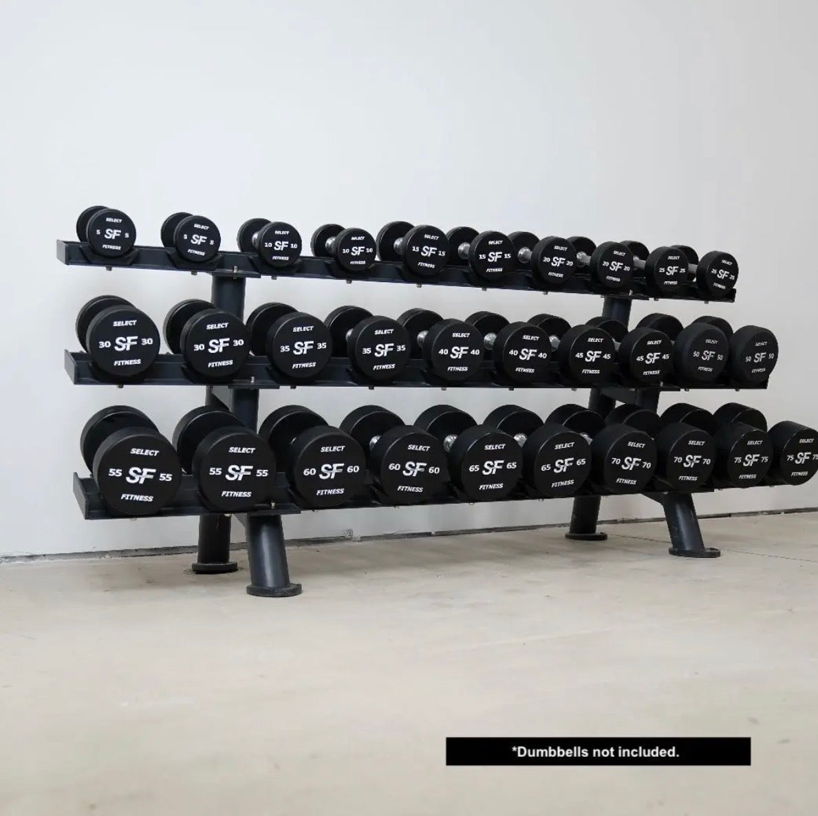 Select Fitness Elite Dumbbell Rack